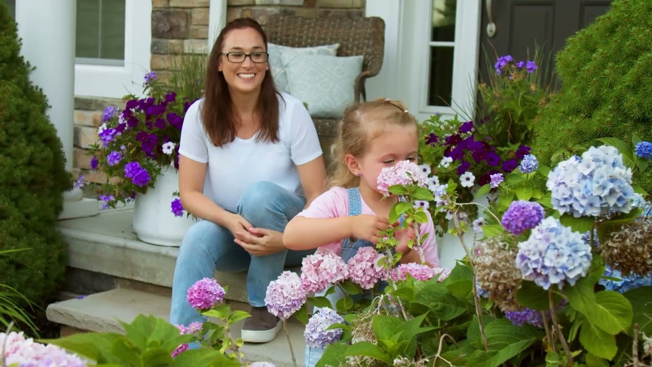 video_image_banner