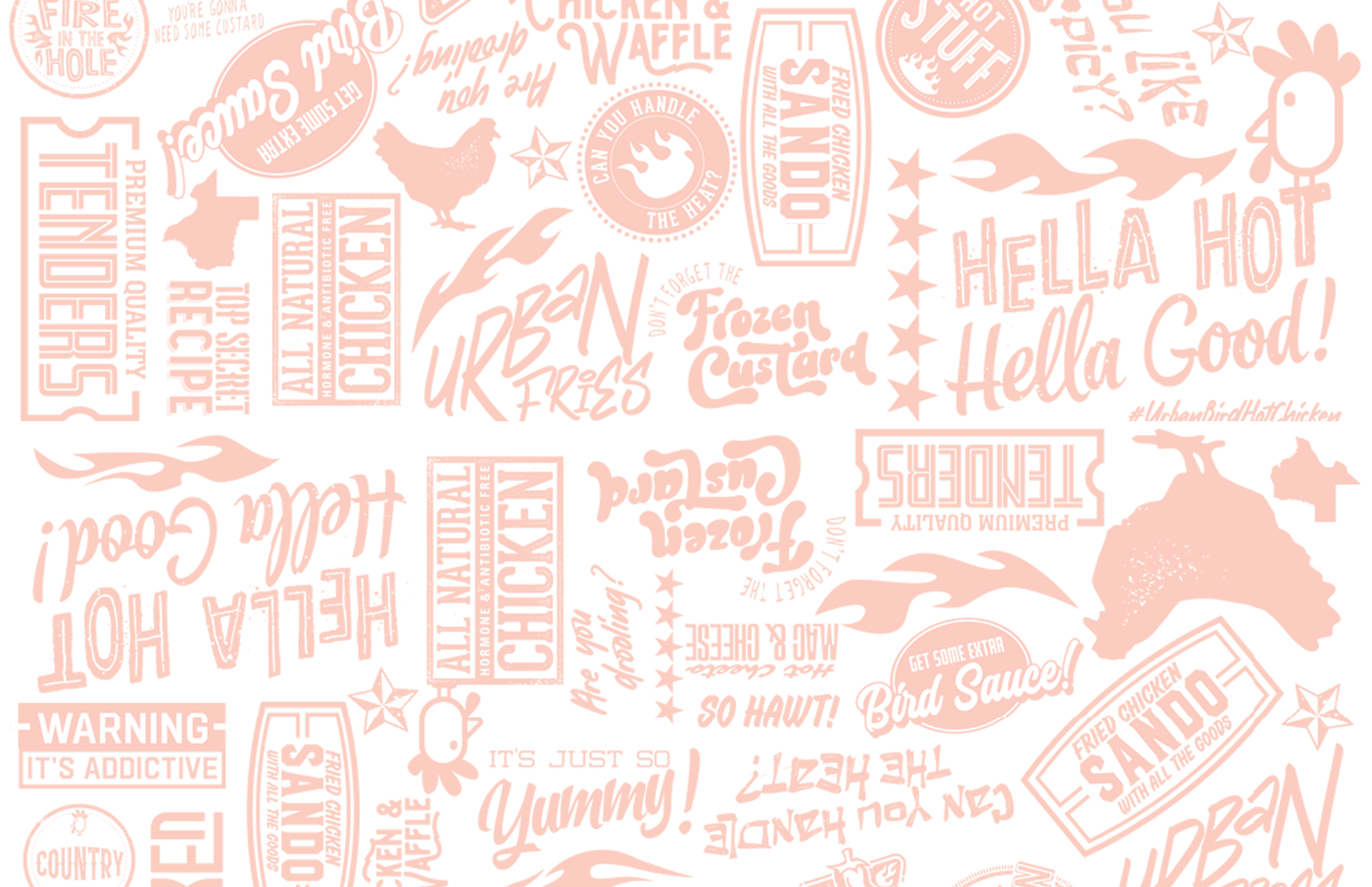 Urban Bird Franchise Investment Informaion
