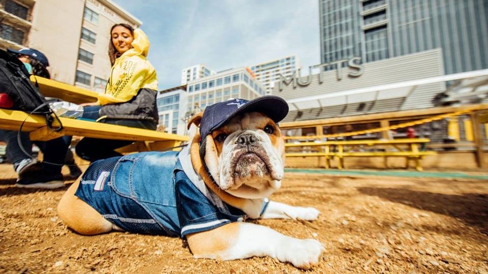 3 Emerging Brands That Are Building Buzz