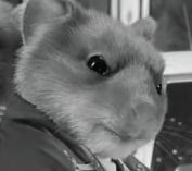 Five Commercials we LOVE to HATE