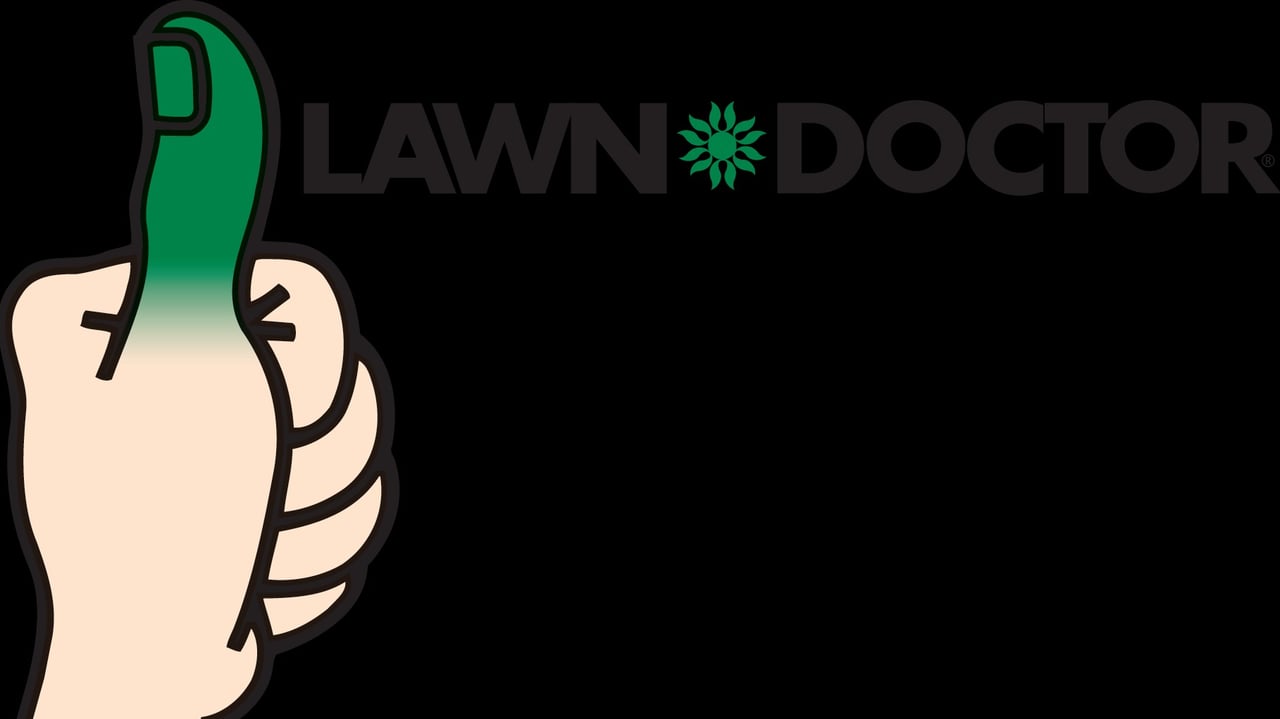 How Strong Brand Awareness and Customer Referrals Have Lawn Doctor, Randy DeVries