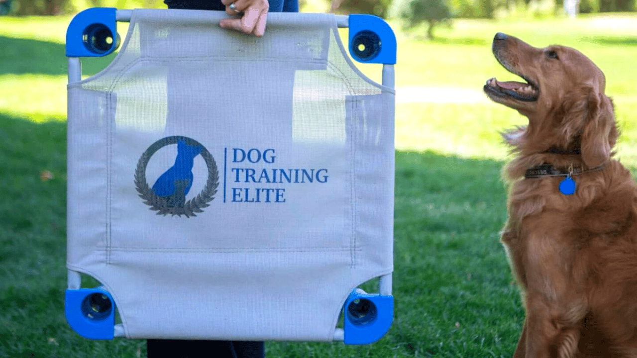 Dog Training Elite Ranked No. 521 on 2023 Inc. 5000 Amidst Major Growth ...