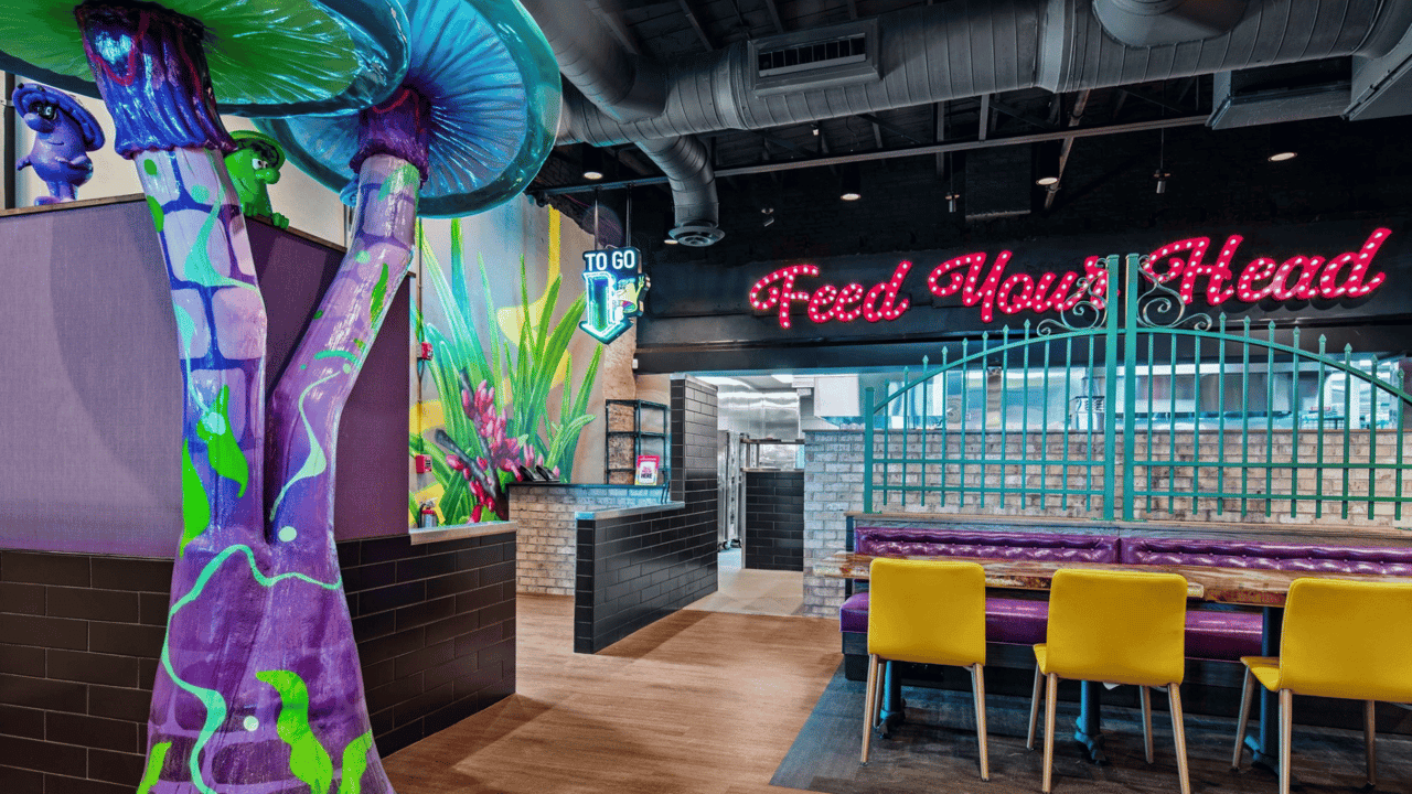 image of mellow mushroom pizza franchise interior of restaurant