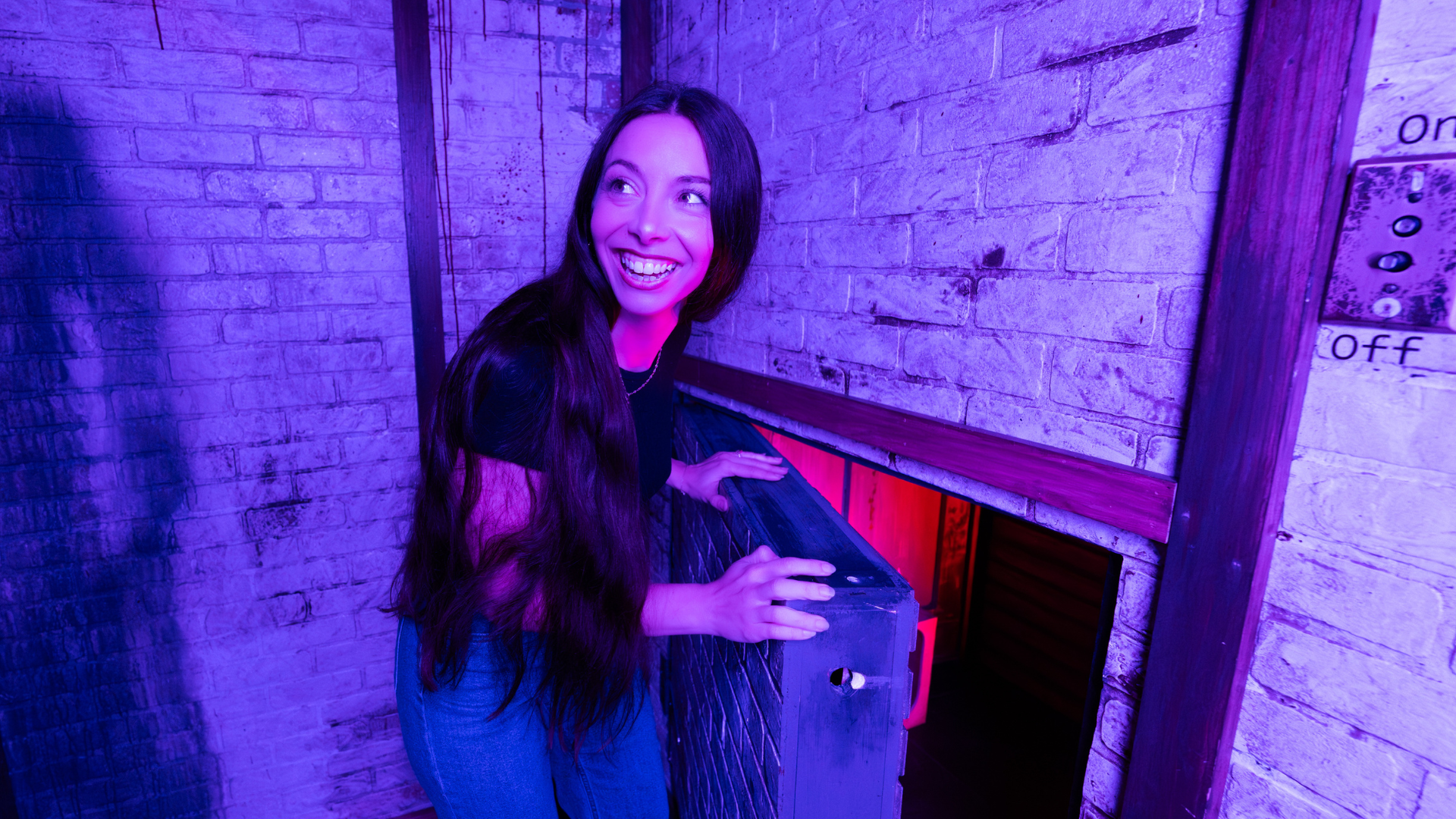 What It Costs to Open an Escapology and Why Operators Are Betting on the Experience Economy